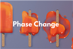 Phase Change Order Form 